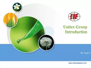 Unitex Group Introduction