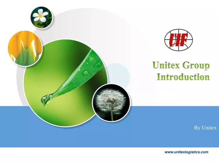 unitex group introduction