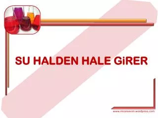 su halden hale girer