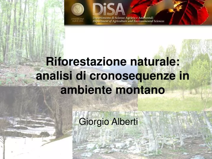 riforestazione naturale analisi di cronosequenze in ambiente montano