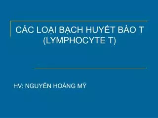 c c lo i b ch huy t b o t lymphocyte t