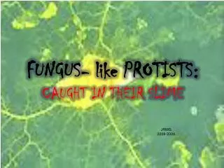FUNGUS- like PROTISTS: CAUGHT IN THEIR SLIME