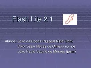 flash lite 2 1