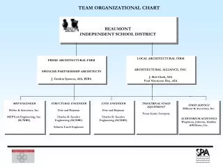 TEAM ORGANIZATIONAL CHART