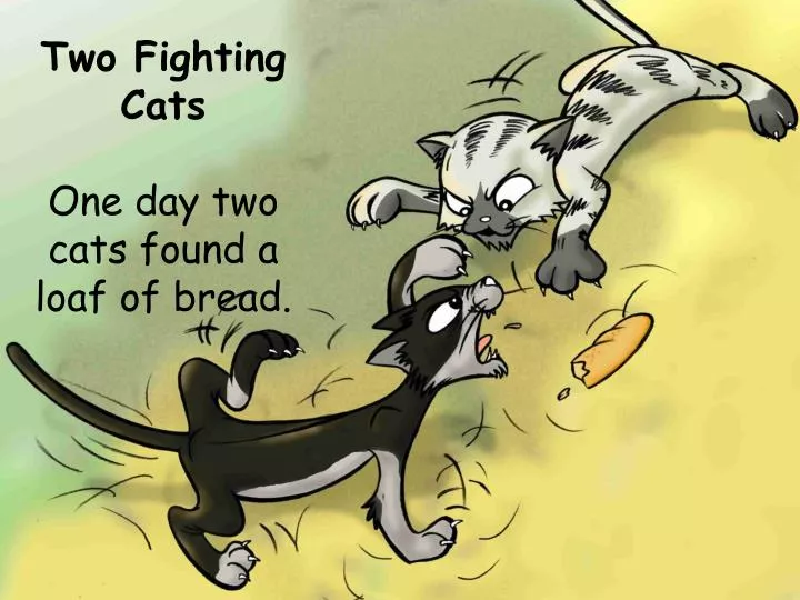 two fighting cats one day two cats found a loaf of bread
