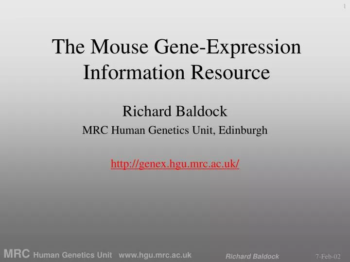 the mouse gene expression information resource