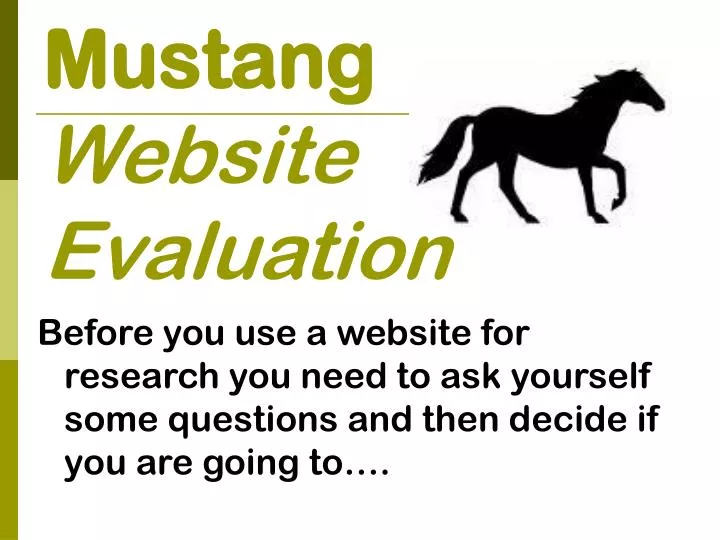 mustang website evaluation
