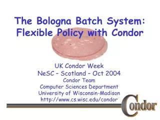 The Bologna Batch System: Flexible Policy with Condor