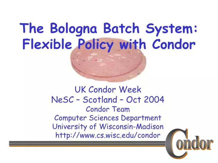 the bologna batch system flexible policy with condor