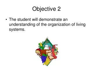 Objective 2