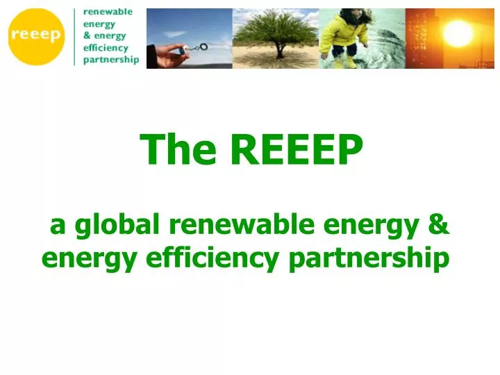 the reeep a global renewable energy energy efficiency partnership
