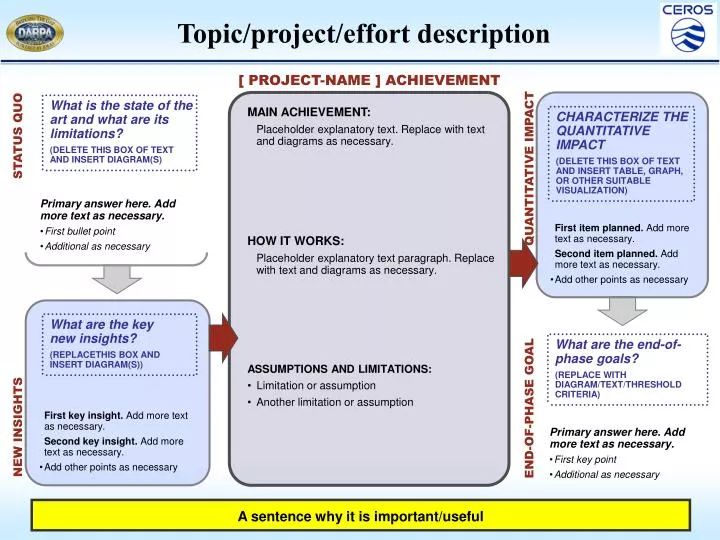 topic project effort description