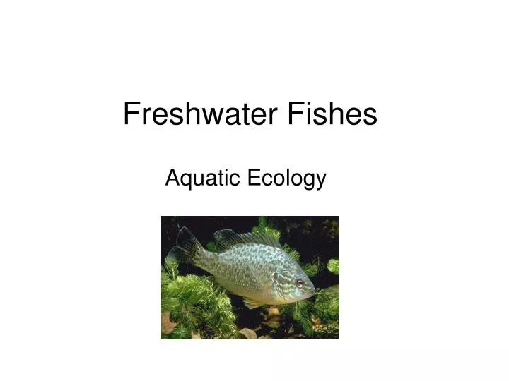 freshwater fishes