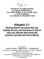 Allegato 21: - slide 1