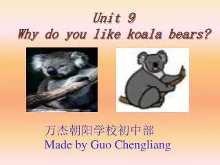 Unit 9 Why do you like koala bears?