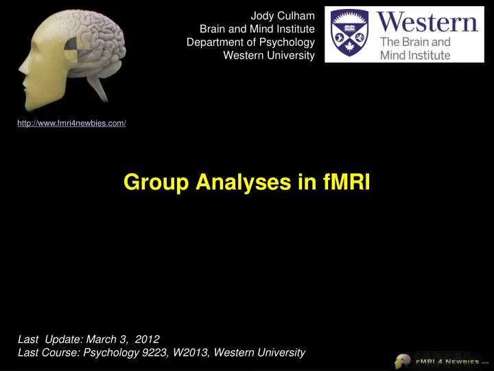 group analyses in fmri