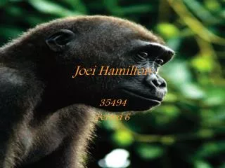 Joei Hamilton