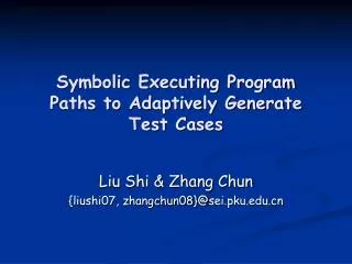 Symbolic Executing Program Paths to Adaptively Generate Test Cases