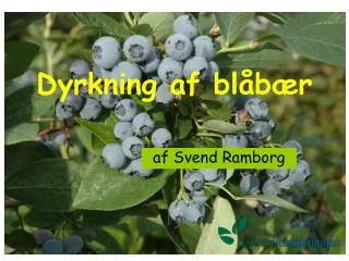 dyrkning af bl b r