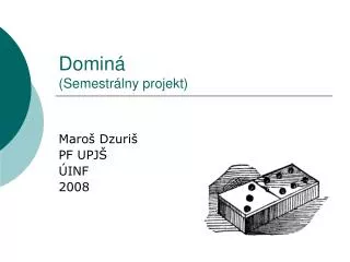 domin semestr lny projekt