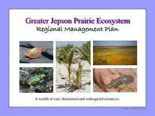 Greater Jepson Prairie Ecosystem Regional Management Plan