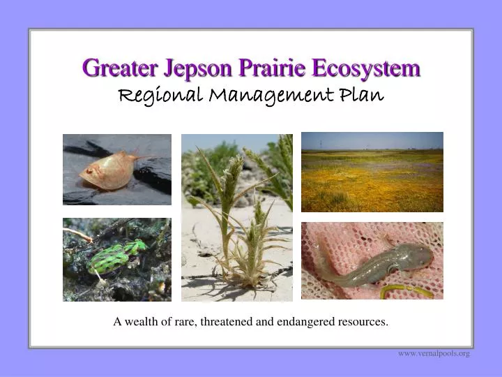 greater jepson prairie ecosystem regional management plan