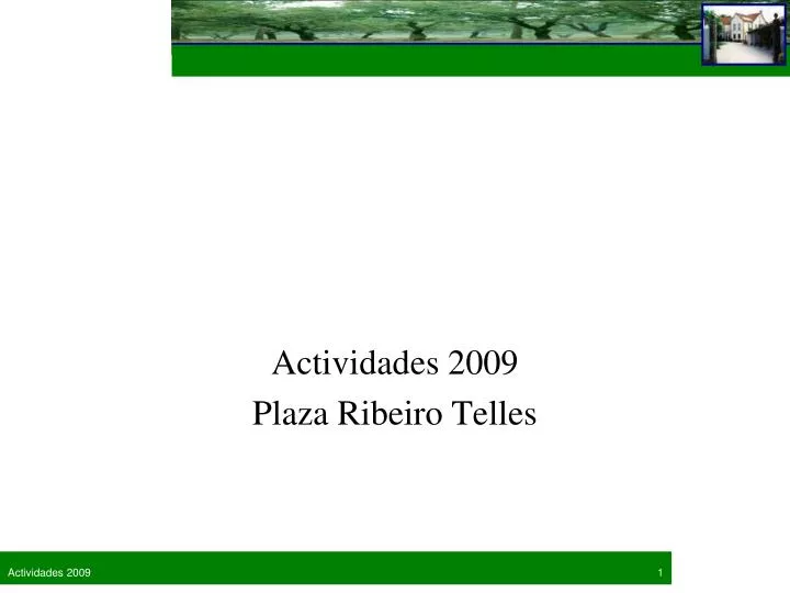actividades 2009 plaza ribeiro telles