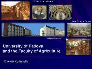 University of Padova and the Faculty of Agriculture