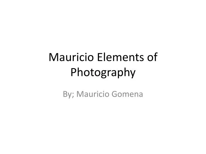 mauricio elements of photography