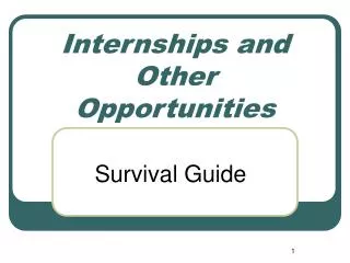 Internships and Other Opportunities