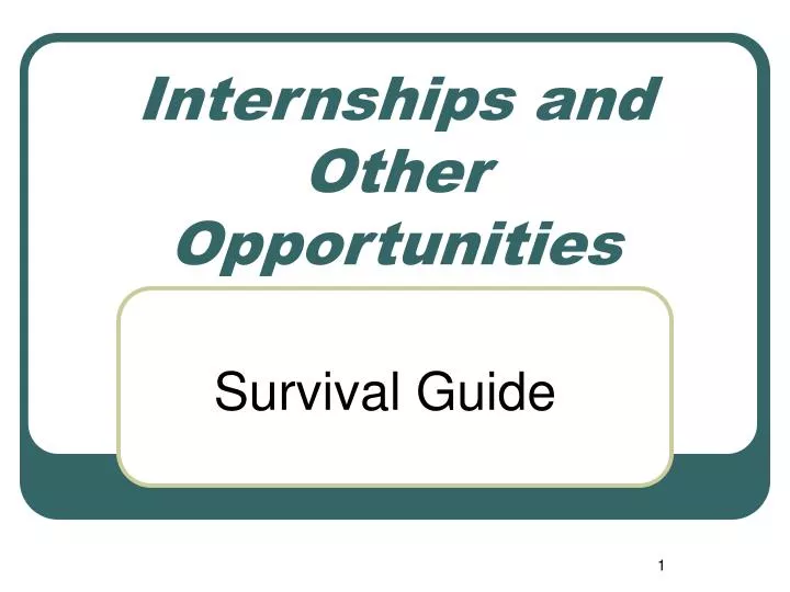 internships and other opportunities