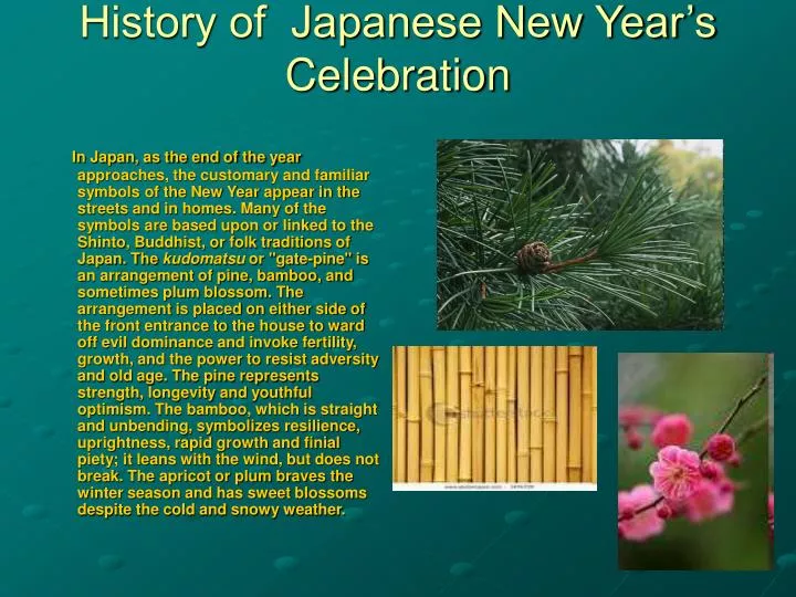history of japanese new year s celebration