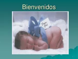 bienvenidos