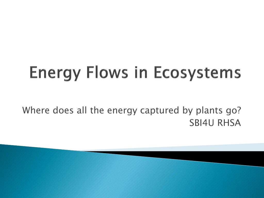 PPT - Energy Flows in Ecosystems PowerPoint Presentation, free download ...