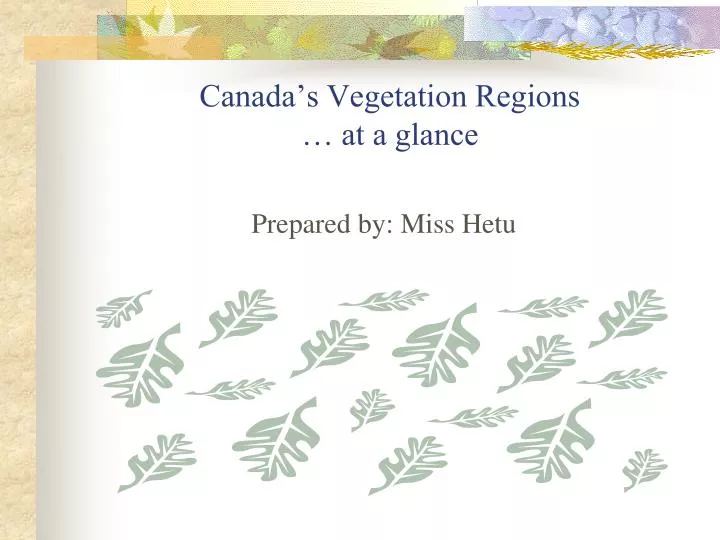 canada s vegetation regions at a glance