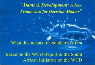 Southern African Contribution to WCD Knowledge Base