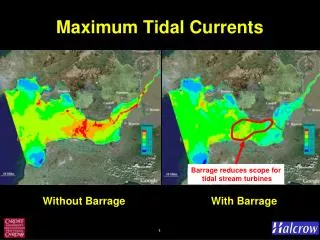 Maximum Tidal Currents