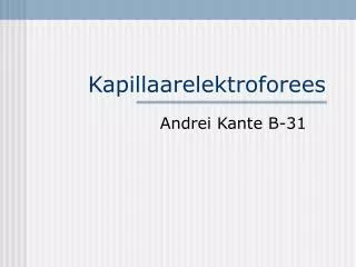 kapillaarelektroforees