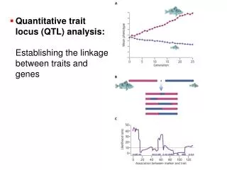 Quantitative trait locus (QTL) analysis: Establishing the linkage between traits and genes