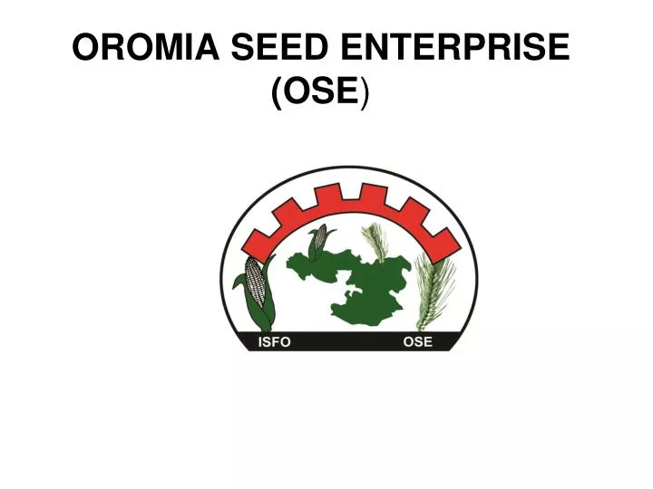 oromia seed enterprise ose