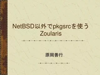 netbsd pkgsrc zoularis