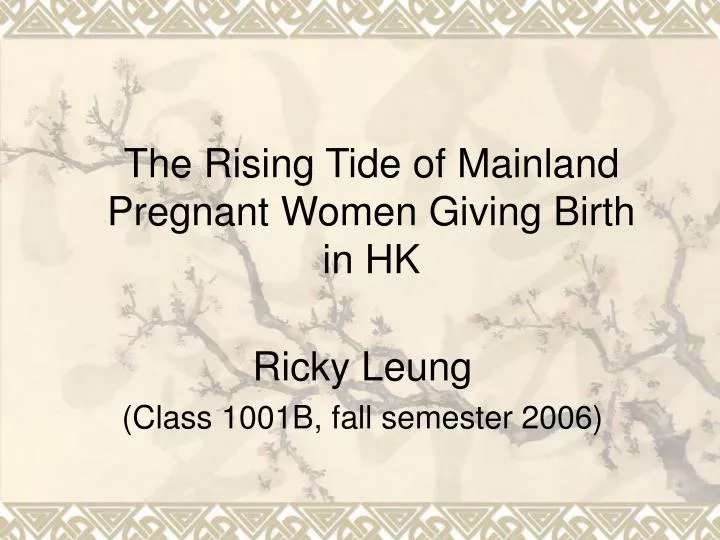 the rising tide of mainland pregnant women giving birth in hk
