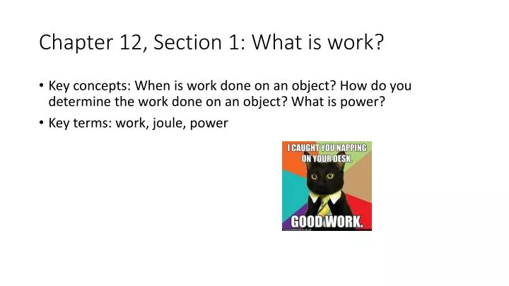 chapter 12 section 1 what is work
