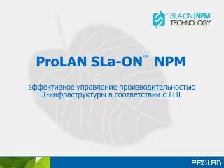 prolan sla on npm it itil
