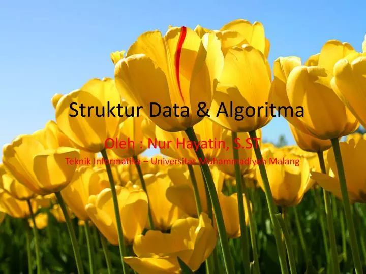 struktur data algoritma