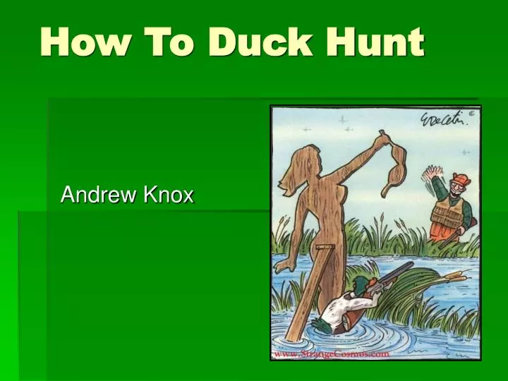how to duck hunt