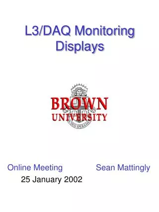 L3/DAQ Monitoring Displays