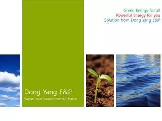 Dong Yang E&amp;P