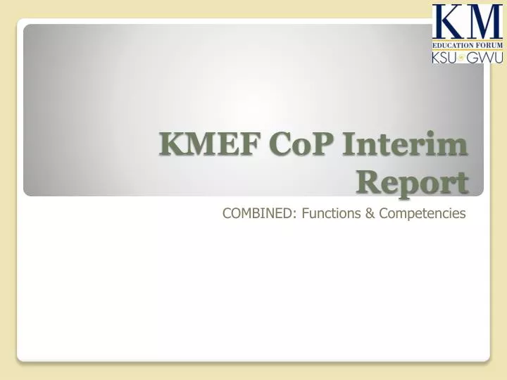 kmef cop interim report
