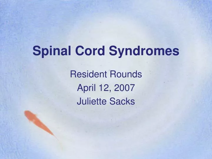 spinal cord syndromes